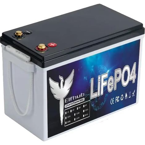 Batterie LiFePO4, capacité de 300Ah, Bluetooth intégré, 12v300Ah (1/2)