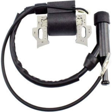 Bobine d'Allumage Haute Tension Compatible avec 797343, 590603, CR750, CR950, XR550, XR750, XR950 (1/3)