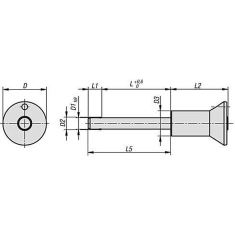 KIPP Kugelsperrbolzen mit Pilzgriff D1=5 L=20 Edelstahl Kompakt (1/2)