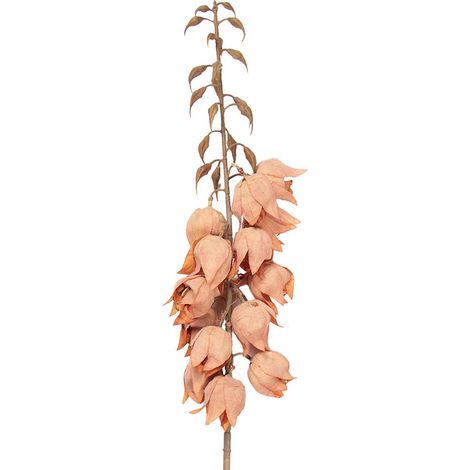 Branche de Fleur Artificielle 100 cm en Plastique Orange et Rose pour Décoration - PANGIVO (1/2)