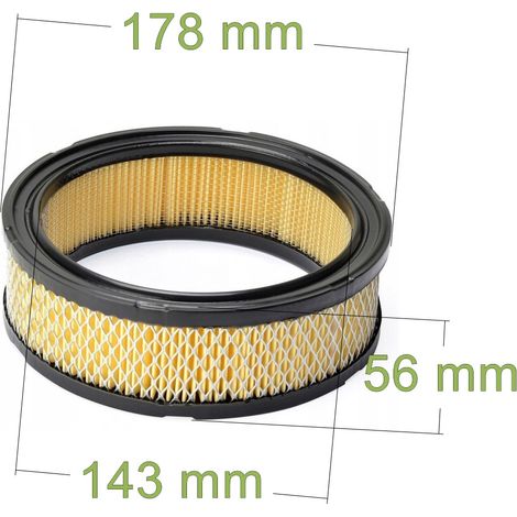filtre à air pour Briggs & Stratton Toro John Deere Vanguard 394018 394018S (1/3)