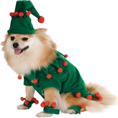 Costume de Noël pour Chien et Chat, Tenue de Lutin Festive pour Animaux, Habit Amusant pour Petit Animal (1/5)