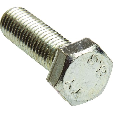 Vis à tête hexagonale, Acier Passivé, zinc, M12 x 40mm ( Prix pour Sachet de 50 )