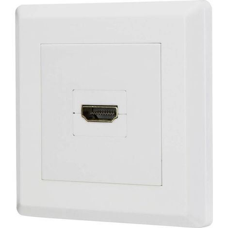 RF-4724906 HDMI Adaptateur [1x HDMI femelle - 1x HDMI femelle] blanc contacts dorés Y851322 (1/5)