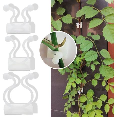 Filiyano – Support mural pour plantes L-50ST L-lot x50