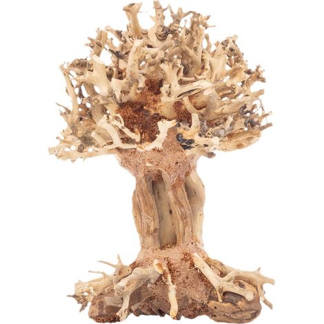 PROGROW ARBOL BONSAI BT7XS 10X10X15CM