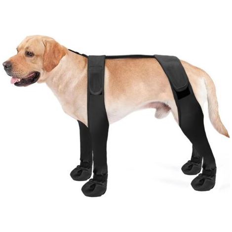 BUNTHAUS PA Bottes à bretelles pour chien, montantes, antidérapantes, anti-chute, réglables, protection des pattes (taille L, noires)