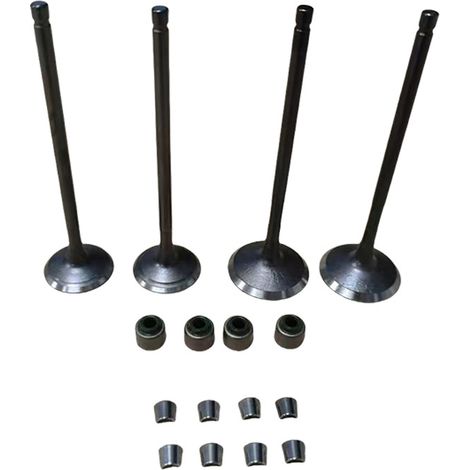 Les soupapes de moto NS200 sont compatibles avec les modèles BAJAJ PULSAR 200NS, NS200, AS200 et Rouser 200. (1/4)