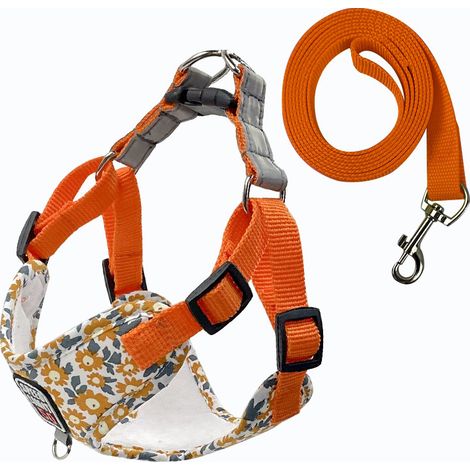 Fournitures pour animaux de compagnie Laisse respirante pour chien Laisse imprimée pour chien de promenade pour chien de petite et moyenne taille Nouveau harnais pour animaux de compagnie en gros (1/3)