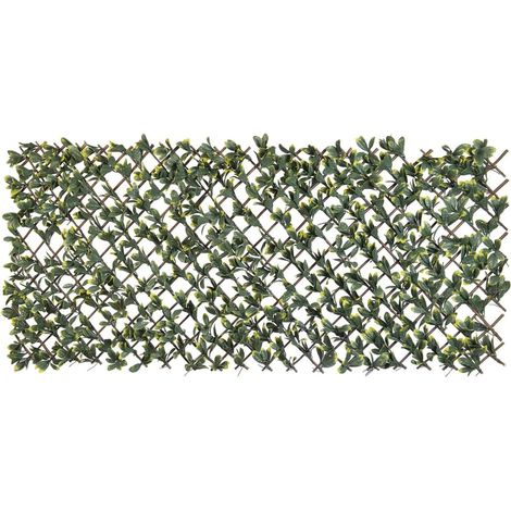 Nature – Treillis extensible en osier 180 x 90 cm – Feuillage PE Troène de Californie – Traitement anti-UV pour occultation légère