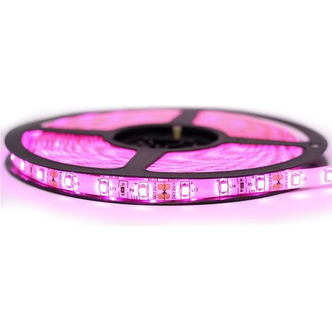 Sysled – Ruban LED rose 3528 – 60 LEDs – Longueur 1 à 10 mètres – IP65 pour extérieur – 4,8W/m – Lumière 420 lm/m (1/4)