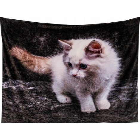 Morbida coperta 200/220 copriletto a quadri con stampa 3D realistica di gattino e gatto (1/5)