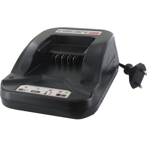 Caricatore batteria BRIGGS ET STRATTON 593562