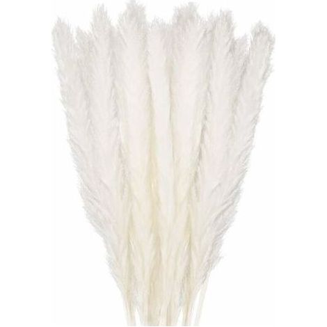 30 pcs Herbe de la Pampa, 45 cm Naturel Pampa Fleur Bouquet de Fleurs Sechees pour Vases, Blanc Boho Decoration Chambre Maison Salon, Mariage Photographier Table Décoration (1/4)