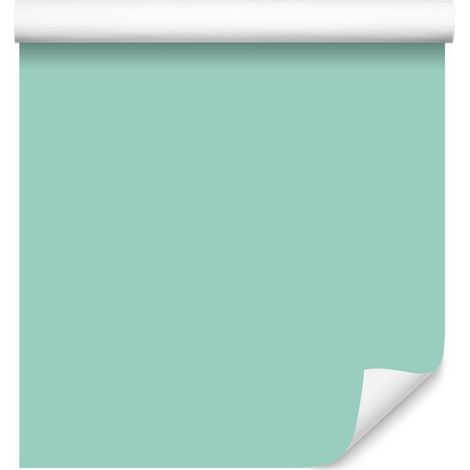 Carta da parati tinta unita color menta, sfondo menta per soggiorno e camera da letto 50x1000 cm (1/5)