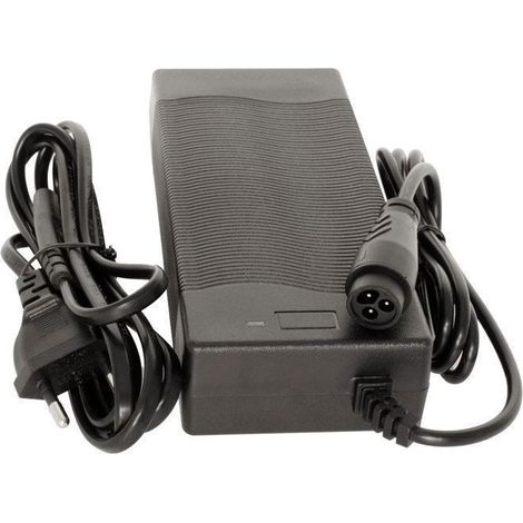 Ladegerät - Dualtron - Mini - 58,1 V - 2 A - Kompatibel mit Elektrorollern (1/5)