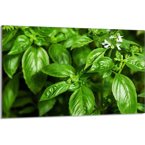 Protezione per piano cottura in vetro 80x52 Basil (1/5)