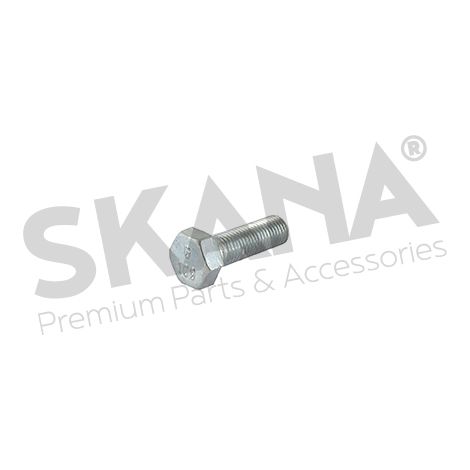 Vite testa héxagonale M8 x 100 x 25mm GGP - CASTELGARDEN 112793312/0