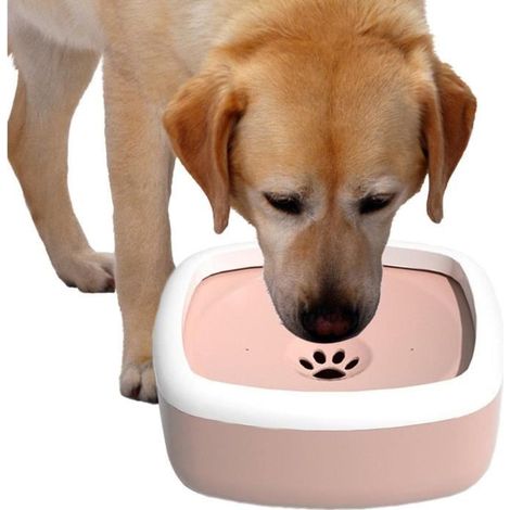 Gamelle pour chien - MARQUE - Grande capacité - Anti-éclaboussures - Design réglable - Plastique résistant (1/4)