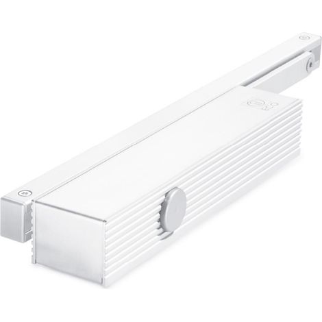 Eco-Schulte TS 61G chiudiporta argento bianco nero