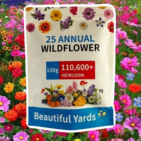 Mélange de Graines de Fleurs 150 g – Semis Toute l’Année, Idéal pour Jardin et Balcon (1/5)