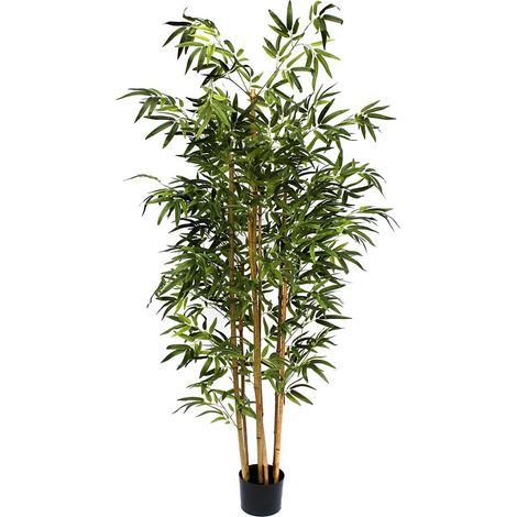 ARBOL BAMBU