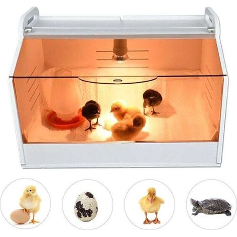 Caisse chauffante pour poussins 220 V entièrement automatique avec thermomètre et lampe chauffante pour poussin pour volaille, reptiles et petits animaux (1/5)