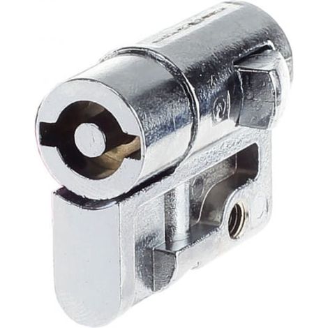 Inserto per serratura a leva NWS-SHE/BLB/DN5 255310