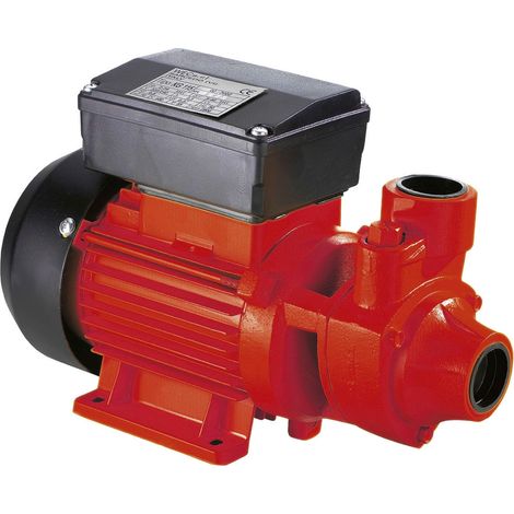 Bomba de transferencia diesel Ribimex PRPC115 (1/2)
