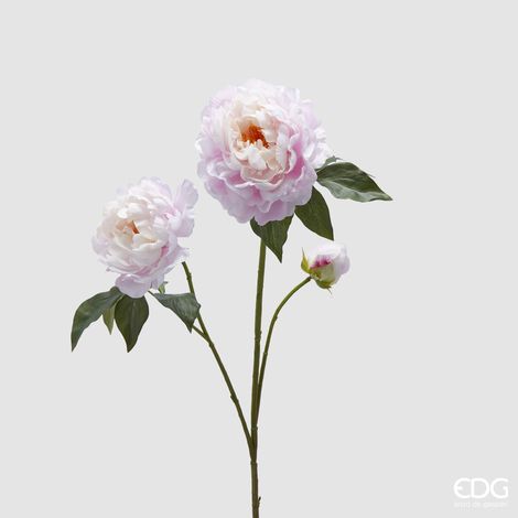 EDG Peonia Ramo Con Foglie E Bocciuolo (1/2)