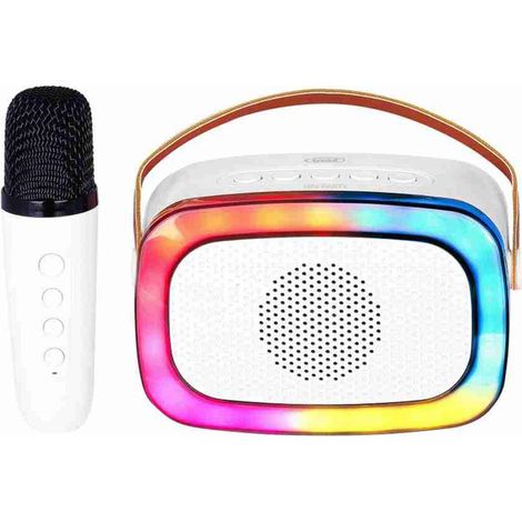 Enceinte karaoké Bluetooth portable MDUG BT-K8 : son de qualité et divertissement garantis  (1/3)