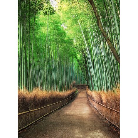 Papier peint panoramique bambou vert & marron | Tapisserie panoramique chemin dans forêt de bambou | Papier peint panoramique zen couloir - 192 X 260 cm (4 pièces) (1/2)