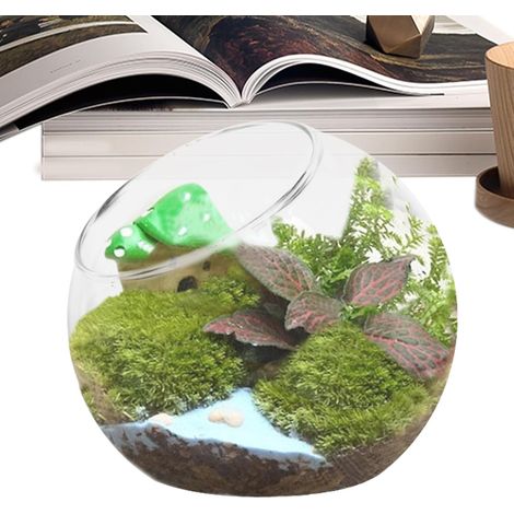 Terrarien rundes Glas Terrarium Jar Pflanzer Blumentopf