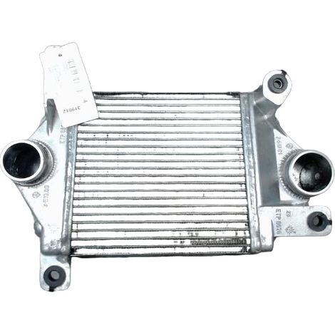 [PRODUIT D'OCCASION] Echangeur Air NISSAN Terrano II 99-2002 ♻️ Ref Oe. 144617f404 - Garantie à vie