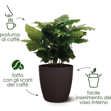 Elho The Coffee Collection Ronde 22 - Marron - L 22 x B 22.3 x H 21 cm - intérieur - 100% recyclé