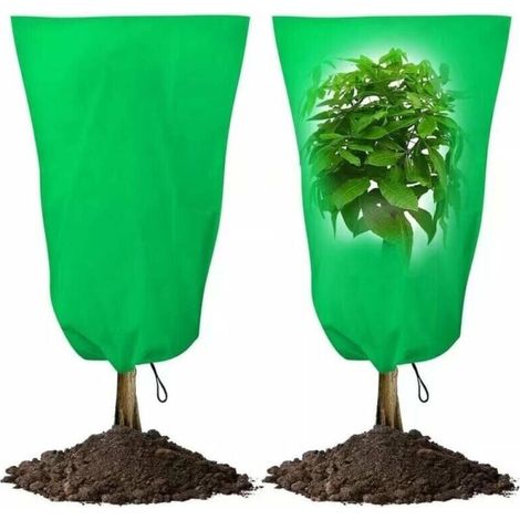 Deux housses d'hivernage pour plantes 120x180 cm, housses de protection antigel réutilisables pour plantes avec cordons de serrage (1/4)