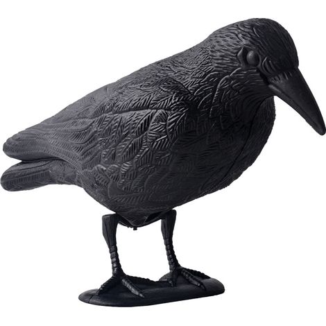 Décoration anti-pigeons en forme de corbeau, épouvantail de jardin noir pour protection des cultures (1/2)