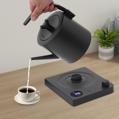 Hervidor de acero inoxidable con control de temperatura, hervidor eléctrico de 1 litro y 1000 vatios, base giratoria de 360 grados y apagado automático para proteger contra el sobrecalentamiento. (1/5)
