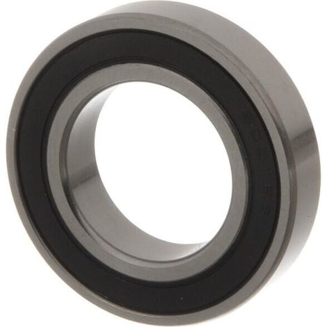 Rod. bolas estr. 6007-2RS C3 VICON KG01461600