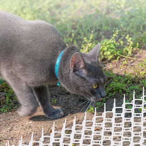 Tappetini anti gatto con punte set da 12 - dissuasore per animali da giardino