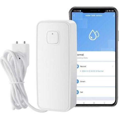 Détecteur d’Eau Intelligent WiFi - Alarme Fuite d’Eau avec Notifications App, 80dB, Surveillance à Distance pour Cuisine et Cave (1/5)