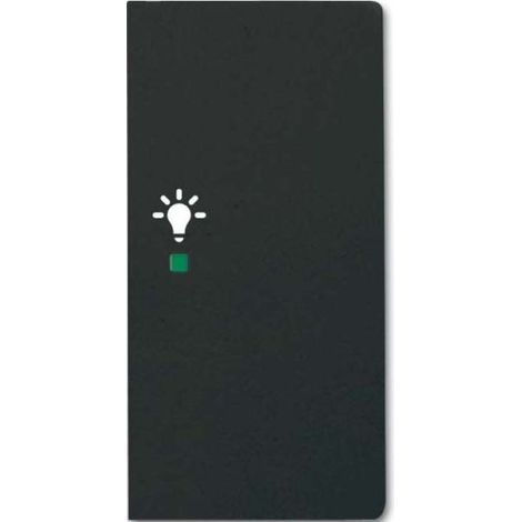 TOUCH ROCKER NOIR POUR DOMOTIQUE KNX 6231-22-885 BUSCH-JAEGER 2CKA006220A0509