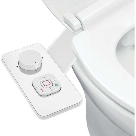 Bidet toilet with integrated Japanese-style bidet, adjustable water pressure, and retractable double self-cleaning nozzles.