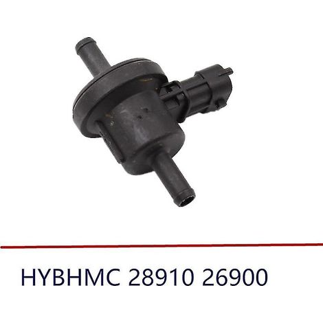 Soupape de purge du canister d'évaporation 2891026900 28910 26900 28910-26900 Compatible avec Hyundai Accent Elantra