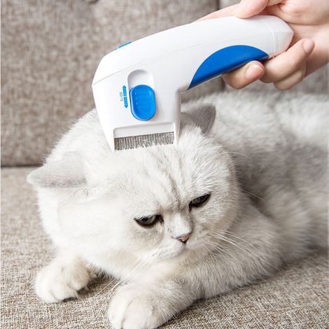 Peigne Électrique Anti-Puces pour Chats et Chiens - Élimination Naturelle, Sans Produits Chimiques, Dimensions 26x17.5x5cm, Coloris Blanc, Piles AA Non-Incluses (1/5)