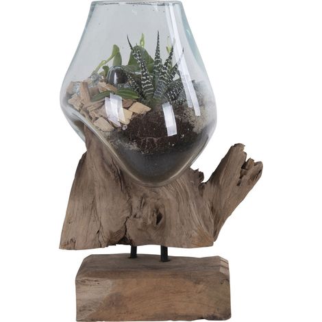 Terrario San Marino in vetro a goccia su base in radice di teak 18x15xh25 cm (1/5)