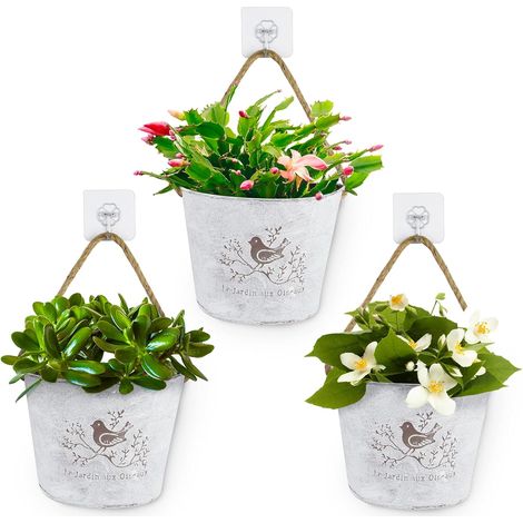 Jardinières Murales Porte Plante Suspendus avec Corde Pots Fleurs Intérieur Balcon Jardin Déco Murale Vertical 3pcs Métal (1/5)