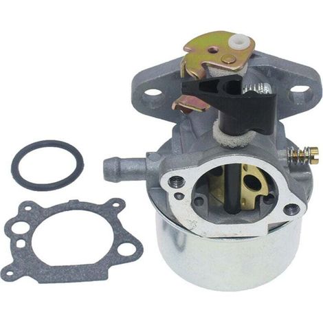 Carburatore con guarnizione per motori Briggs & Stratton Quantum 45 50 55 XM55 XTE40 XTE50 625 675. Sostituisce 494216 494217 498965 698056 MTD Wolf 2069029 (1/4)