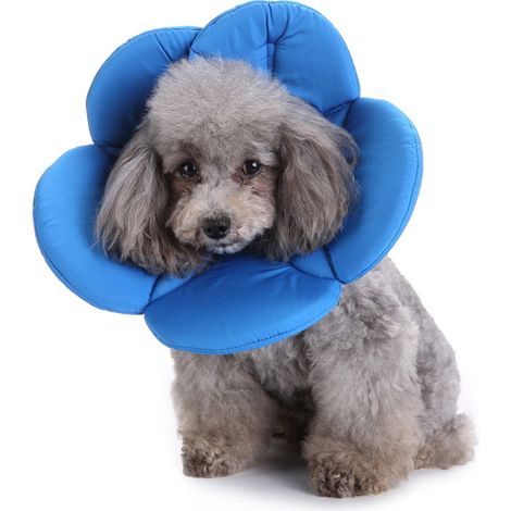 Cône post-opératoire pour chien, collier de protection pour chien, collier de convalescence pour chiens et chats (fleur bleue)