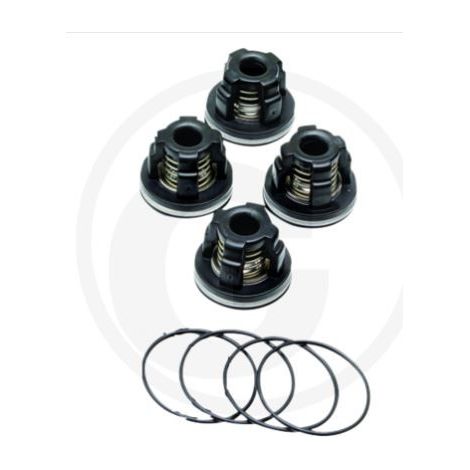 O-RING Ventilsatz für die Membranpumpe AR70 ANNOVI 6702364